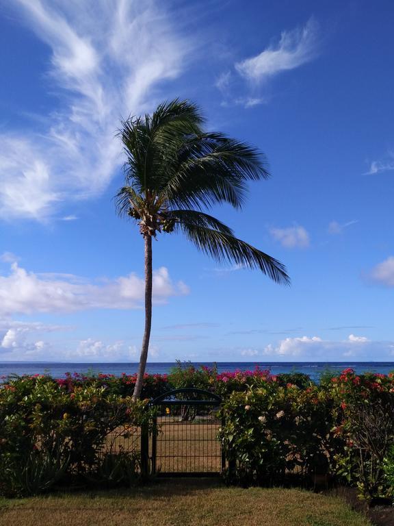 Savannah Guadeloupe Saint-Francois  Exteriör bild
